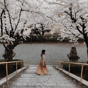 Meet your Posher, Audrey